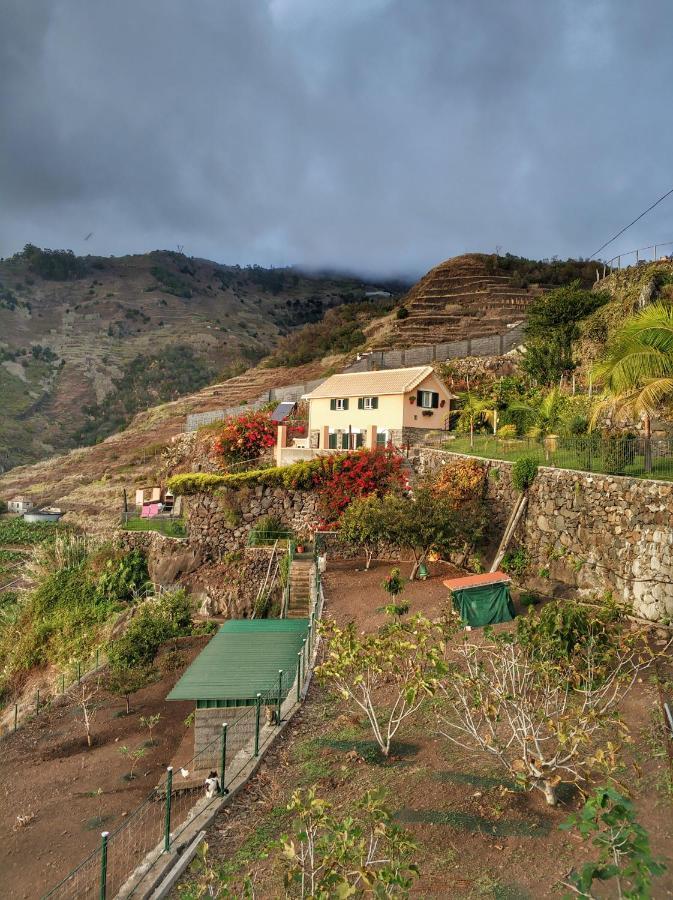 Quinta Terezinha Villa Ribeira Brava Luaran gambar
