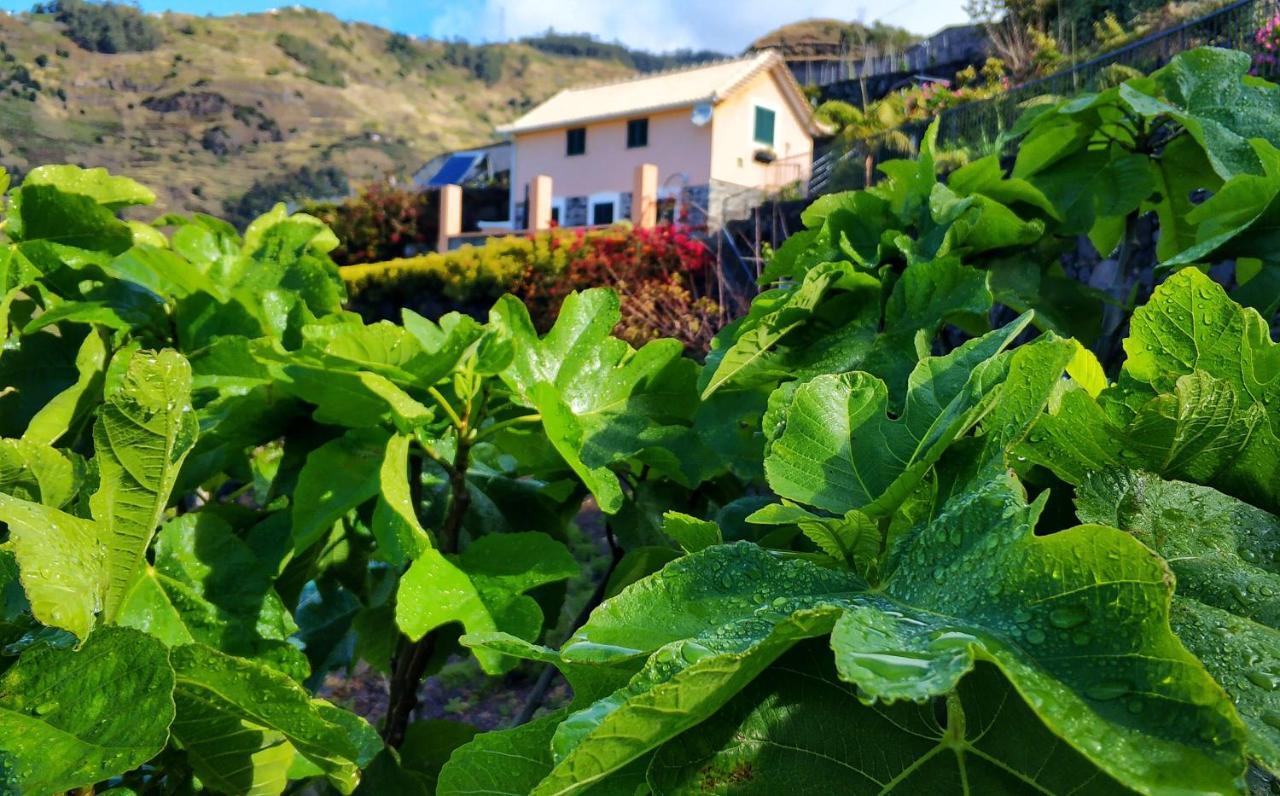 Quinta Terezinha Villa Ribeira Brava Luaran gambar